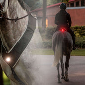 Kavalkade Borsttuig/Zadel Horselight Zwart/Grijs Kavalkade Borsttuig/Zadel Horselight Zwart/Grijs