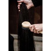 Kentucky Manenborstel Kentucky Manenborstel