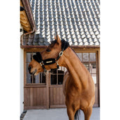 Kentucky Halster Nylon Wol Soft Zwart Kentucky Halster Nylon Wol Soft Zwart