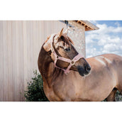 Kentucky Halster Teddy Fleece Oud Roze Kentucky Halster Teddy Fleece Oud Roze