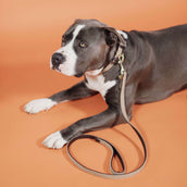 Kentucky Halsband Plaited Nylon Beige Kentucky Halsband Plaited Nylon Beige