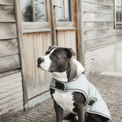 Kentucky Hondenjas Waterproof 160g Dusty Blue Kentucky Hondenjas Waterproof 160g Dusty Blue