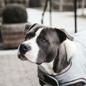 Kentucky Hondenjas Waterproof 160g Dusty Blue Kentucky Hondenjas Waterproof 160g Dusty Blue