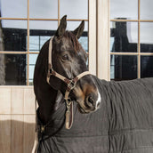 Kentucky Halster Gevlochten Nylon Beige Kentucky Halster Gevlochten Nylon Beige