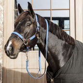 Kentucky Halster Gevlochten Nylon Lichtblauw Kentucky Halster Gevlochten Nylon Lichtblauw