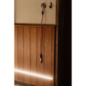 Kentucky Vastzetlijn Silicone Roze Kentucky Vastzetlijn Silicone Roze