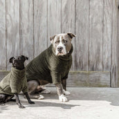 Kentucky Honden Sweater Teddy Fleece Pine Green Kentucky Honden Sweater Teddy Fleece Pine Green