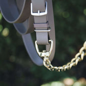 Kentucky Hengstenketting Kentucky Hengstenketting