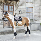 Kentucky Oornetje Wellington Velvet Pearls Zwart Kentucky Oornetje Wellington Velvet Pearls Zwart