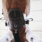 Kentucky Springsingel Short Stud Brown Kentucky Springsingel Short Stud Brown