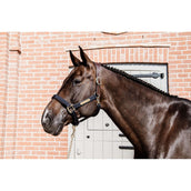 Kentucky Halster Anatomic Nylon Navy Kentucky Halster Anatomic Nylon Navy