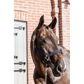 Kentucky Halster Anatomic Nylon Navy Kentucky Halster Anatomic Nylon Navy