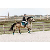 Kentucky Peesbeschermers Bamboo Elastic Vegan Sheepskin Emerald Kentucky Peesbeschermers Bamboo Elastic Vegan Sheepskin Emerald