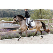 Kentucky Peesbeschermers Bamboo Elastic Vegan Sheepskin Zwart Kentucky Peesbeschermers Bamboo Elastic Vegan Sheepskin Zwart