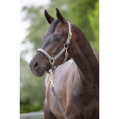 Covalliero Halster Classy Stone Covalliero Halster Classy Stone