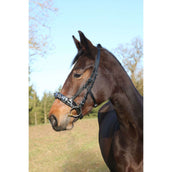 Kerbl Kaptoom Leer incl. Bitriem Zwart Kerbl Kaptoom Leer incl. Bitriem Zwart