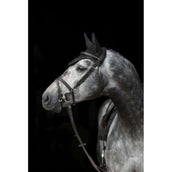 Covalliero Oornetje Empara Zwart Covalliero Oornetje Empara Zwart