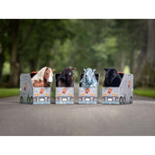 LeMieux Toy Pony Zwart LeMieux Toy Pony Zwart