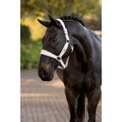 LeMieux Halster Versailles Lilac LeMieux Halster Versailles Lilac