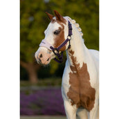 LeMieux Halsterset Mini Vogue Juniper LeMieux Halsterset Mini Vogue Juniper