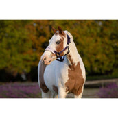 LeMieux Halsterset Mini Vogue Juniper LeMieux Halsterset Mini Vogue Juniper