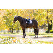 LeMieux Zadeldekje Suede Dressuur Lilac LeMieux Zadeldekje Suede Dressuur Lilac