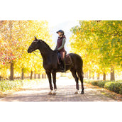 LeMieux Zadeldekje Loire Classic Dressuur Damson LeMieux Zadeldekje Loire Classic Dressuur Damson