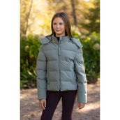 LeMieux Jas Young Rider Daisy Kort Rosemary LeMieux Jas Young Rider Daisy Kort Rosemary