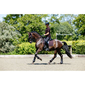 LeMieux Polo Classique Heren Damson LeMieux Polo Classique Heren Damson