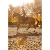 LeMieux Zadeldekje Essence Springen Zwart LeMieux Zadeldekje Essence Springen Zwart