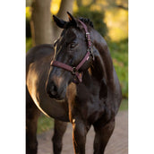 LeMieux Halster Essence Damson LeMieux Halster Essence Damson