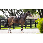 LeMieux Zadeldekje Prosorb Plain 2 Pocket Veelzijdigheid Zwart LeMieux Zadeldekje Prosorb Plain 2 Pocket Veelzijdigheid Zwart