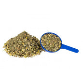 Hilton Herbs Senior Horse Hilton Herbs Senior Horse