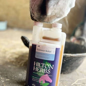 Hilton Herbs Shake No More Hilton Herbs Shake No More