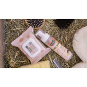 Ravene Easy Shine Doekjes Ravene Easy Shine Doekjes