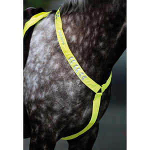 Equi-Flector Borststuk Reflecterend Fluor Geel Equi-Flector Borststuk Reflecterend Fluor Geel