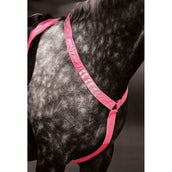 Equi-Flector Borststuk Reflecterend Fluor Roze Equi-Flector Borststuk Reflecterend Fluor Roze