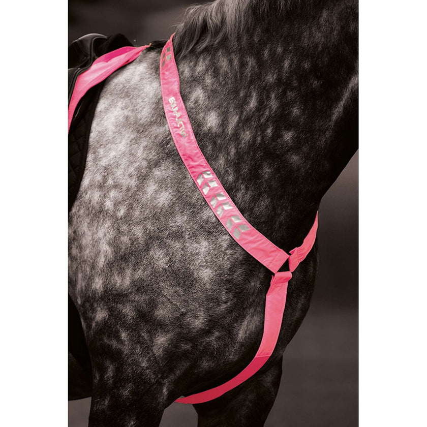 Equi-Flector Borststuk Reflecterend Fluor Roze Equi-Flector Borststuk Reflecterend Fluor Roze