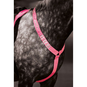 Equi-Flector Borststuk Reflecterend Fluor Roze Equi-Flector Borststuk Reflecterend Fluor Roze