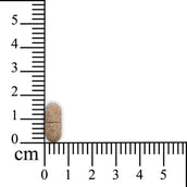 Sensipharm Urologist Aid - Paard Sensipharm Urologist Aid - Paard