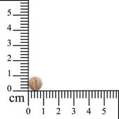 Sensipharm Urologist Aid - Kleine Huisdieren Sensipharm Urologist Aid - Kleine Huisdieren