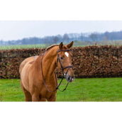 Trust Hoofdstel Knokke Bruin/Zilver Trust Hoofdstel Knokke Bruin/Zilver