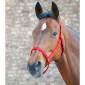 Waldhausen Halster Weide Rood Waldhausen Halster Weide Rood