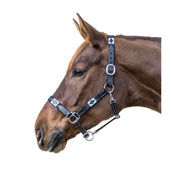 Waldhausen Halster Polo Leder Zwart/Blauw Waldhausen Halster Polo Leder Zwart/Blauw