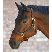 Waldhausen Halster X-Line Anatomic Leder Bruin Waldhausen Halster X-Line Anatomic Leder Bruin