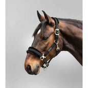Waldhausen Halster Exclusive Zwart/Zwart Waldhausen Halster Exclusive Zwart/Zwart