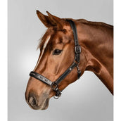 Waldhausen Halster Crystal Leer Zwart/Grijs Waldhausen Halster Crystal Leer Zwart/Grijs