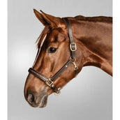 Waldhausen Halster Crystal Leer Bruin/Goud Waldhausen Halster Crystal Leer Bruin/Goud