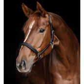 Waldhausen Halster S-Line Classy Leer Zwart Waldhausen Halster S-Line Classy Leer Zwart