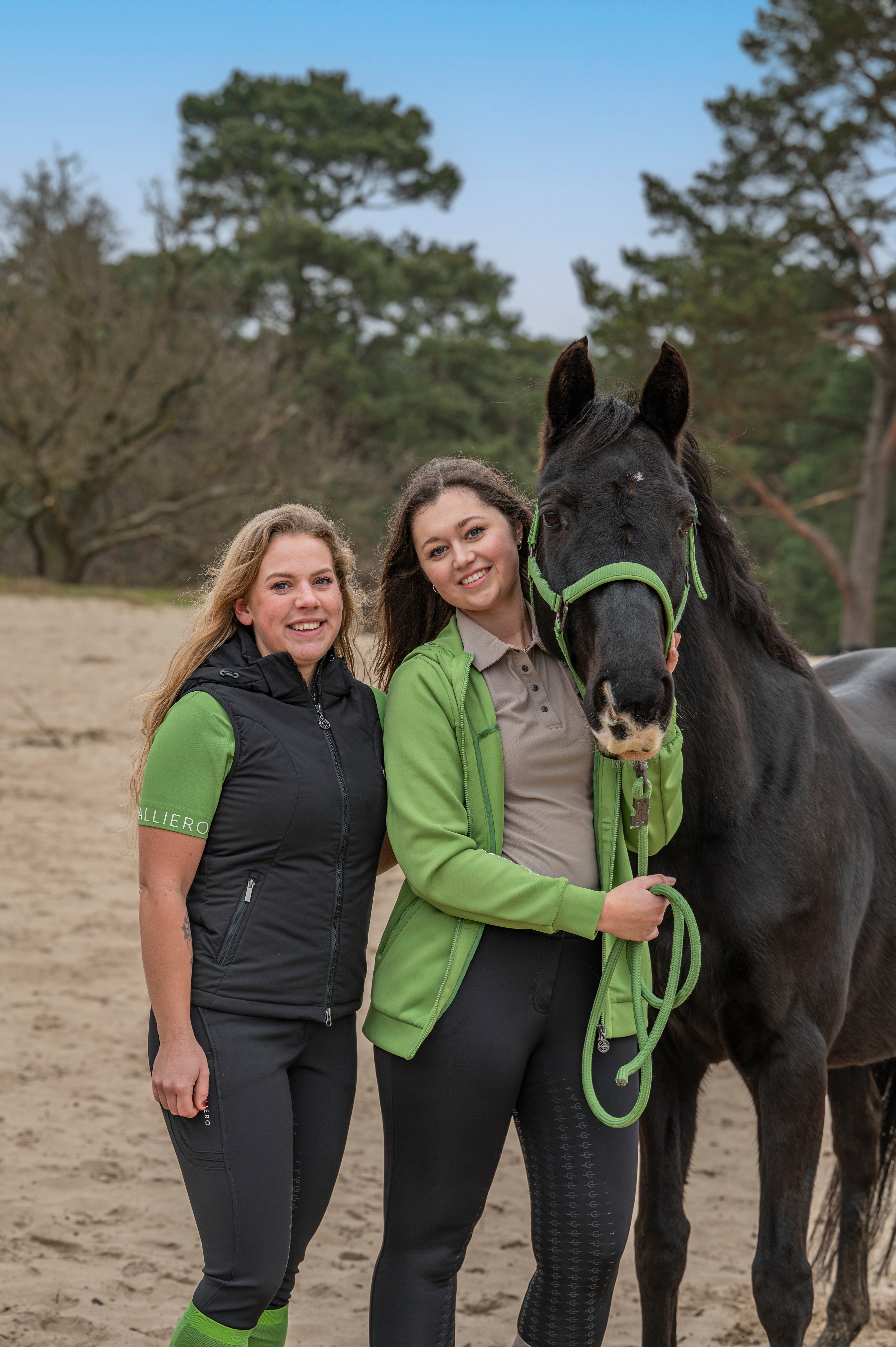 Collecties Collecties